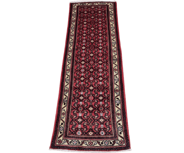 Tapis Hamadan - Danam (2)