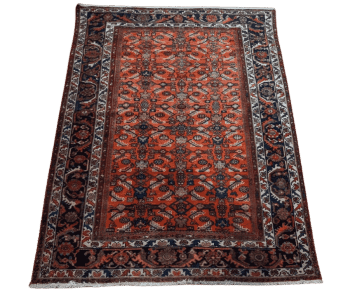 Tapis Melayer - Ravani (1)