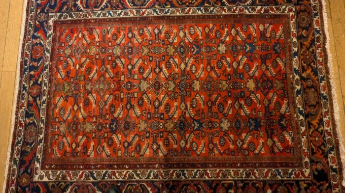 Tapis Melayer - Ravani (4)