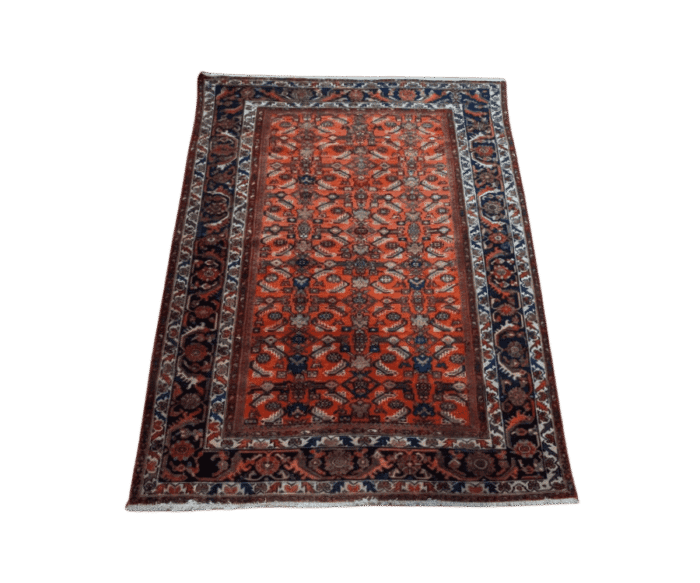 Tapis Melayer - Ravani