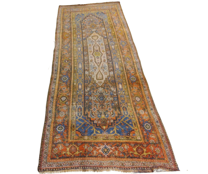 Tapis Bidjar - Vardeh (1)