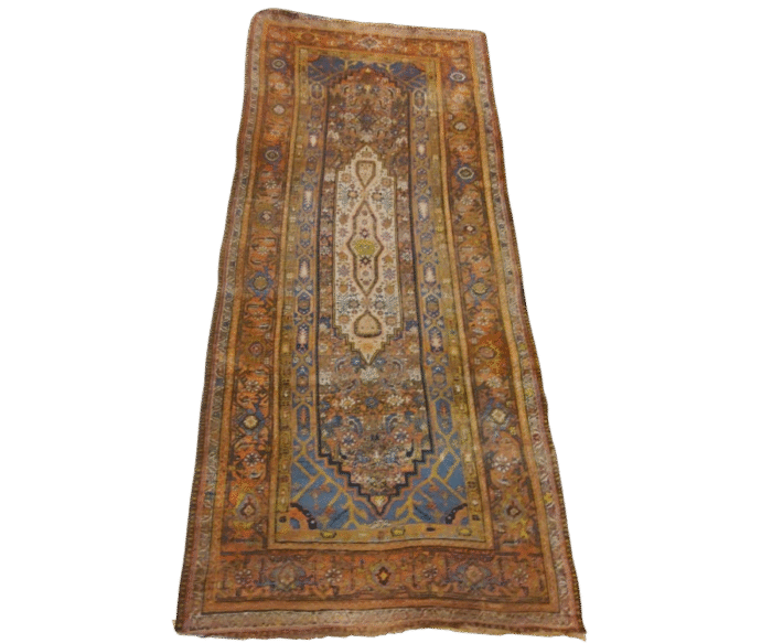 Tapis Bidjar - Vardeh (2)