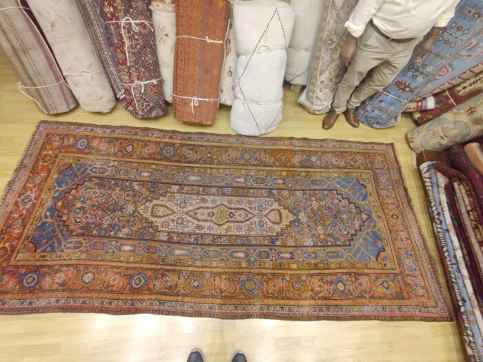 Tapis Bidjar - Vardeh (3)