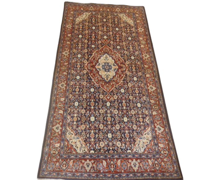 Tapis Sarough - Mahruz (2)