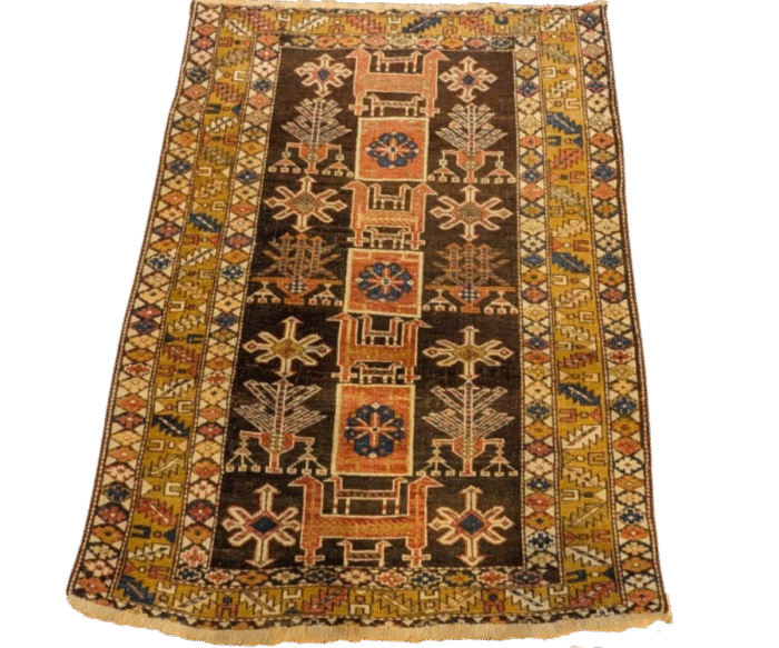 Tapis Chirvan - Tulm (1)