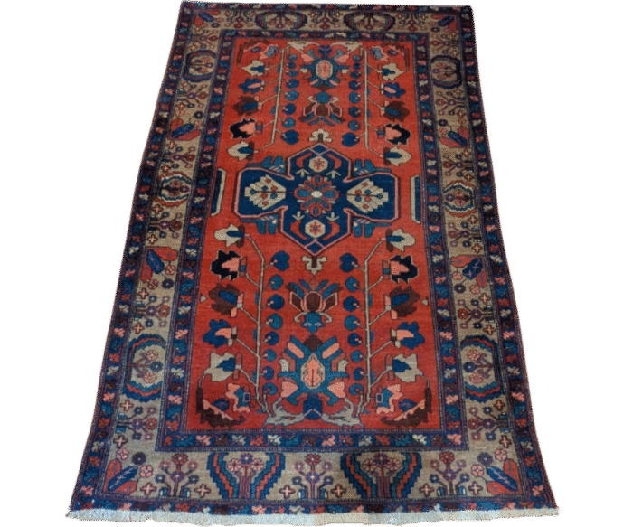 Tapis Hamadan - Dinhad (2)