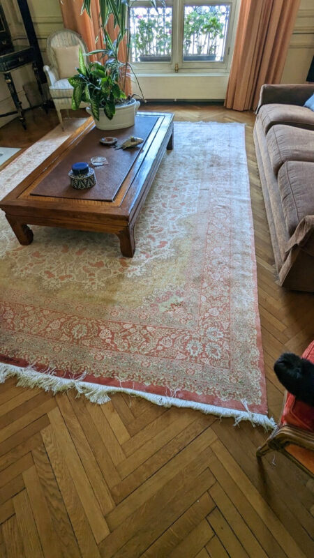 Donner du raffinement à un salon lumineux avec un tapis Ghoum 1