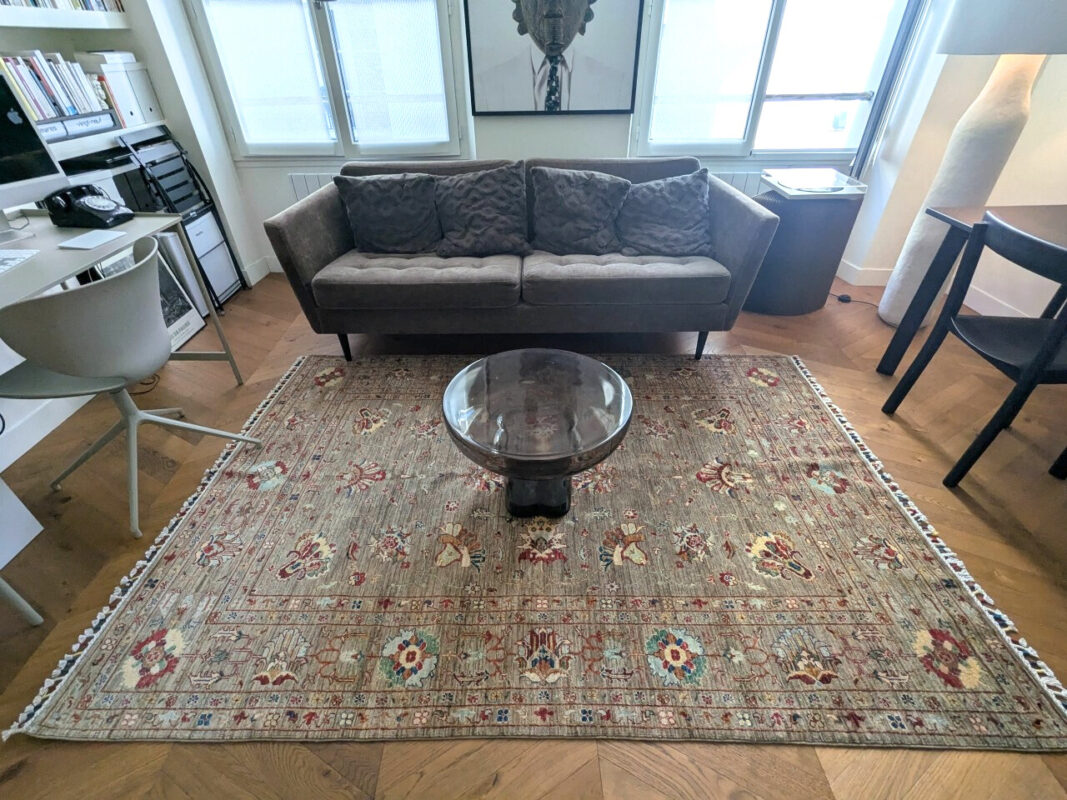 Apporter de la structure à un salon lumineux avec un tapis Saray 1