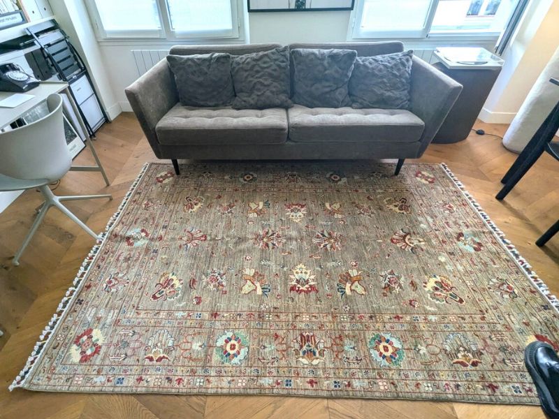 Apporter de la structure à un salon lumineux avec un tapis Saray