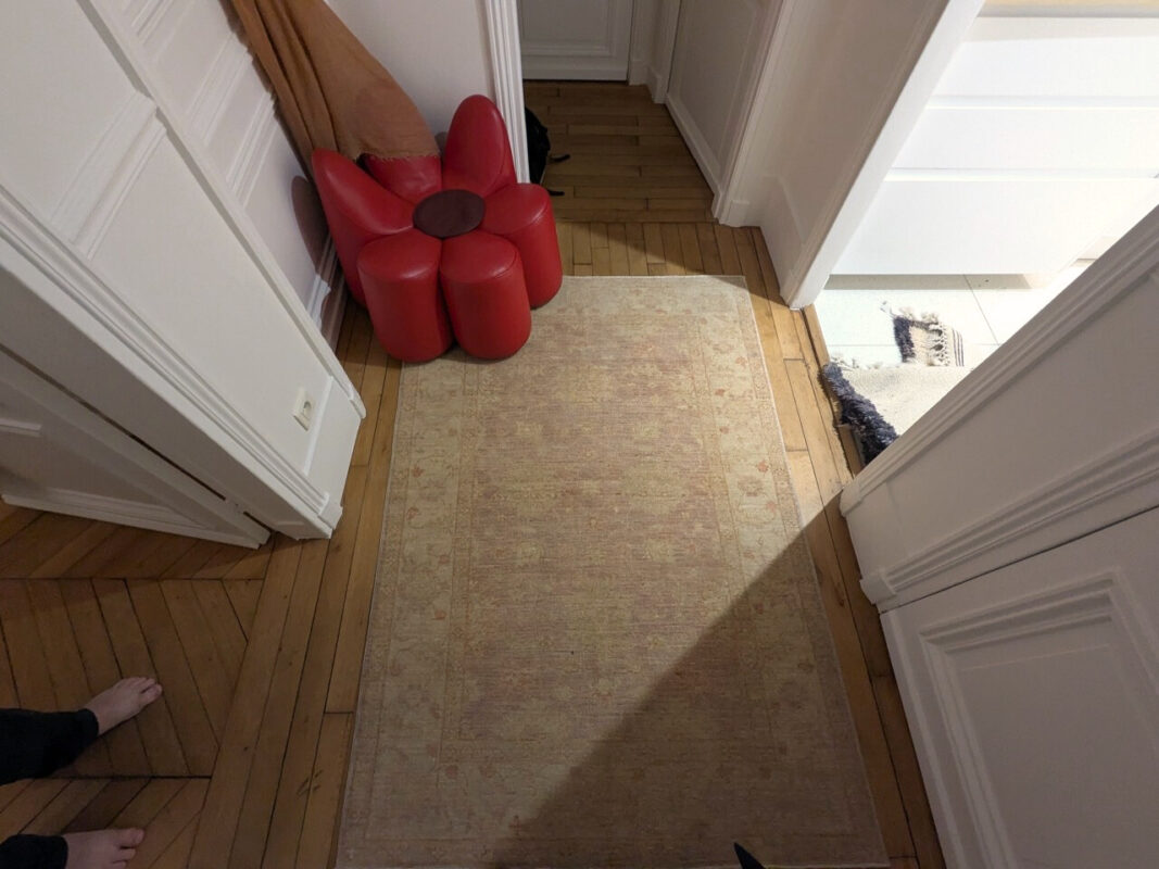 Sublimer un salon haussmannien avec un tapis Ziegler 1