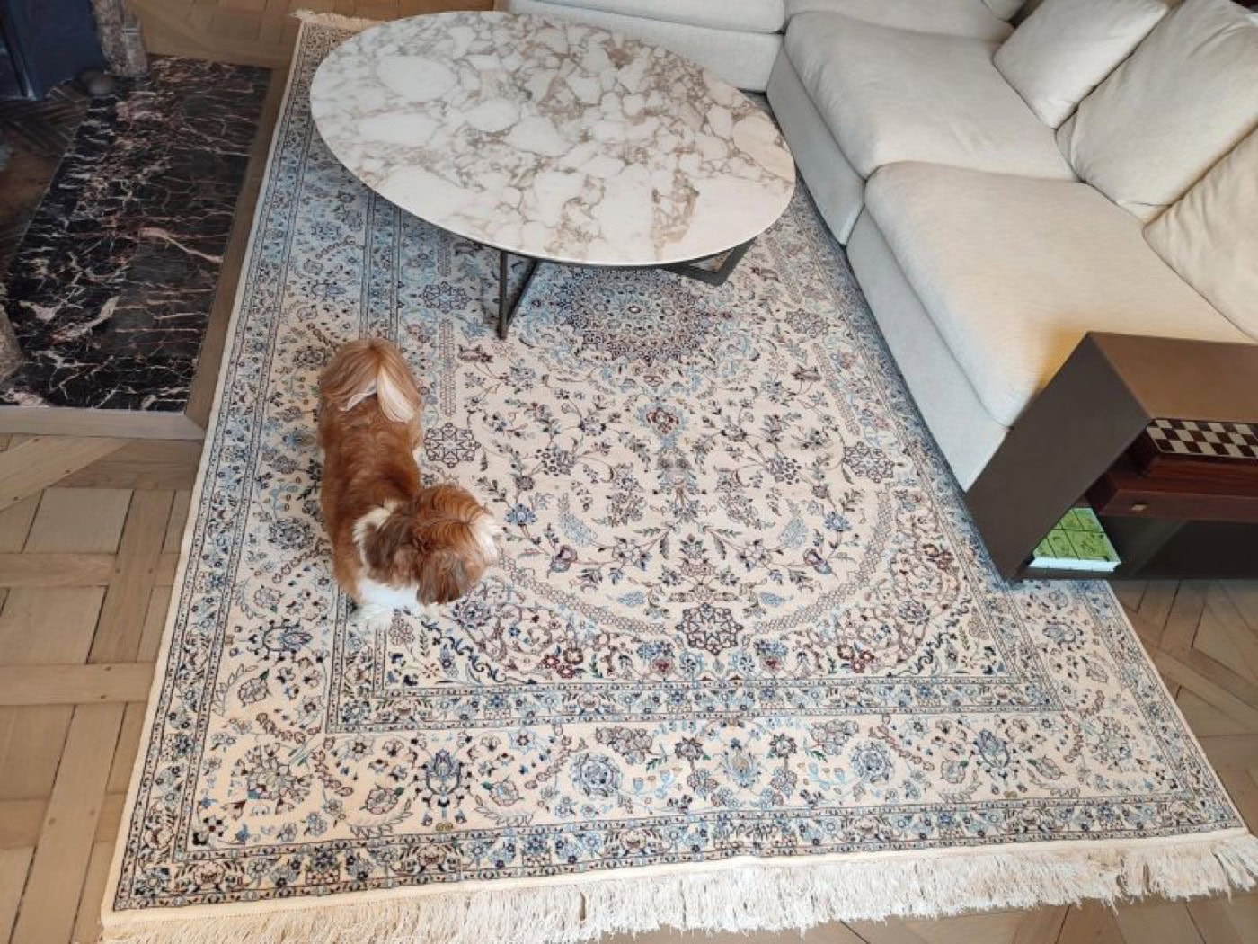 Tapis persan Nain aux tons doux dans un salon haussmannien au parquet point de Hongrie