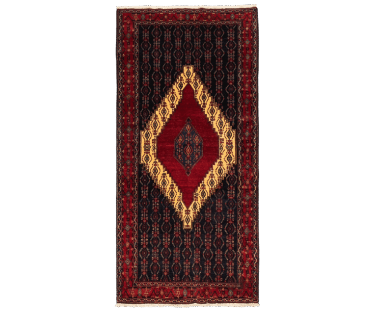 Tapis Senneh - Senmur